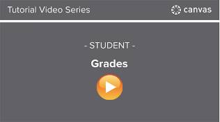 Check your grades in Canvas