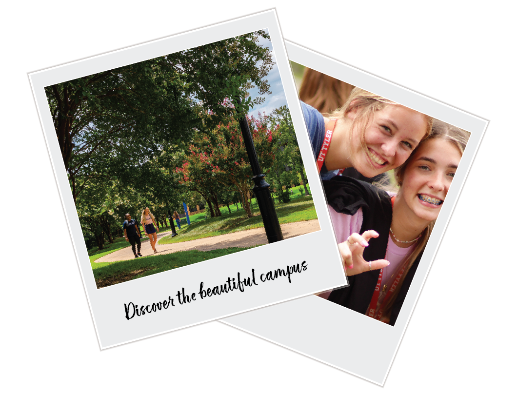 Discover the beautiful campus