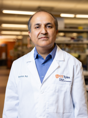 Dr. Santosh Aryal, Ben and Maytee Fisch College of Pharmacy associate professor