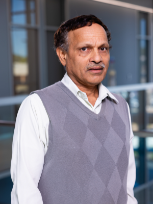Dr. Sreerama Shetty, School of Medicine professor of cellular and molecular biology