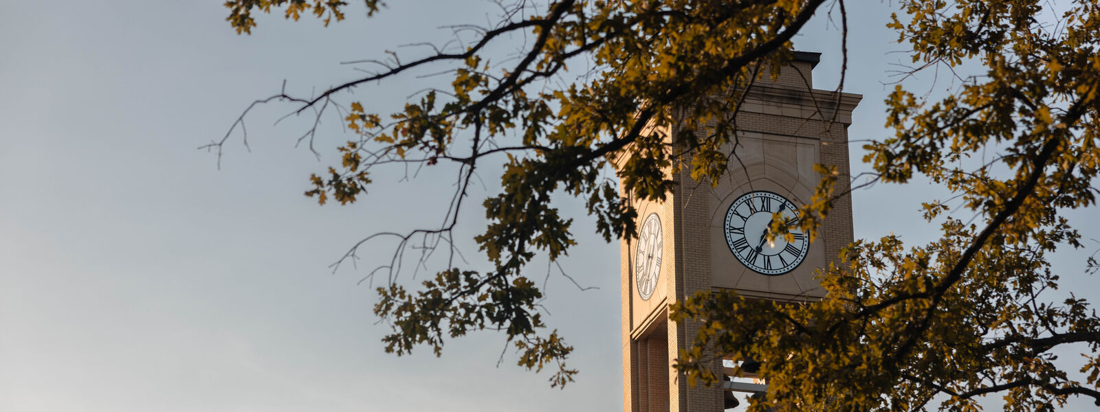 Riter Tower during the daytime on The University of Texas at Tyler campus