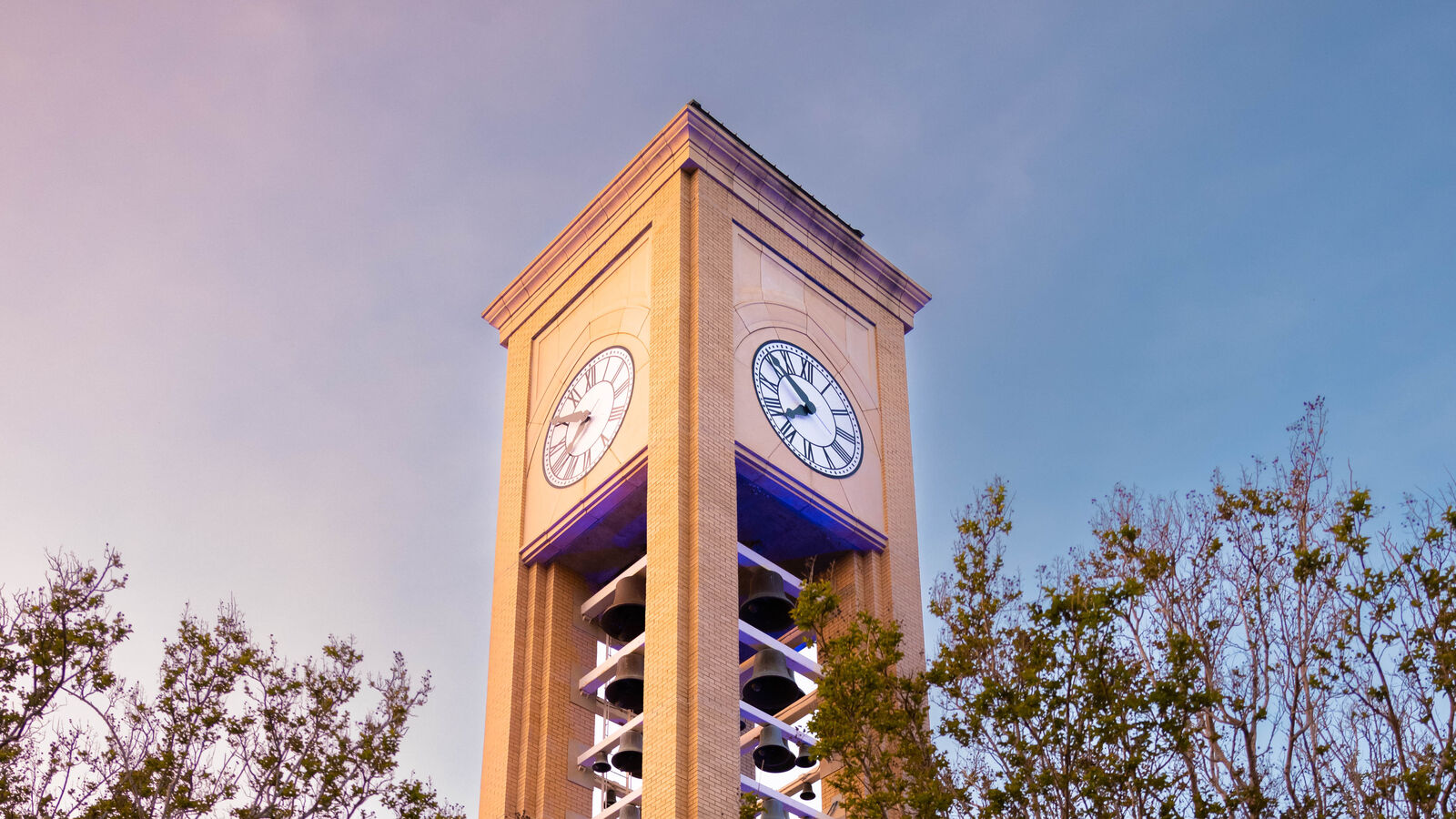 A lit up Riter Tower on The University of Texas at Tyler campus