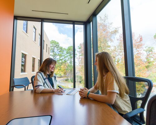 A student and professor in an advising meeting