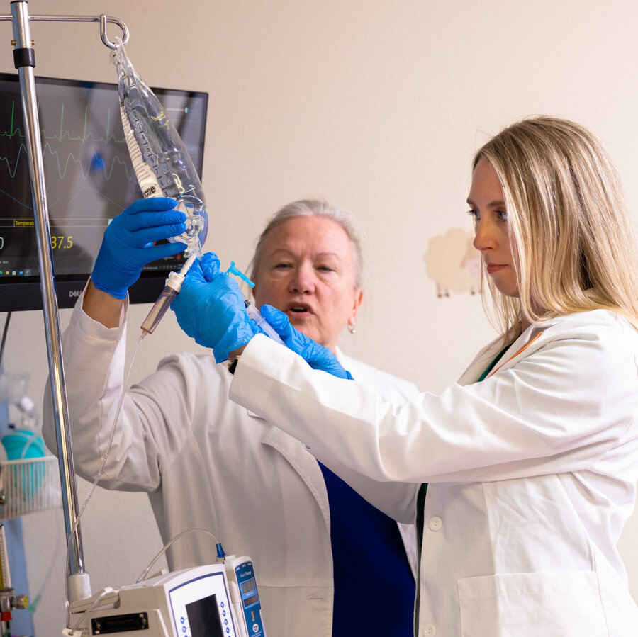 Two medical practitioners holding and looking at an IV