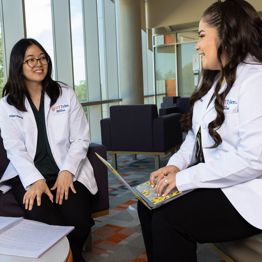 Two medicine students studying