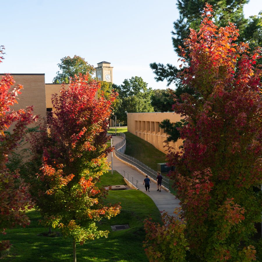 Trees changing to fall colors on the UT Tyler campus with Riter Tower in the distance