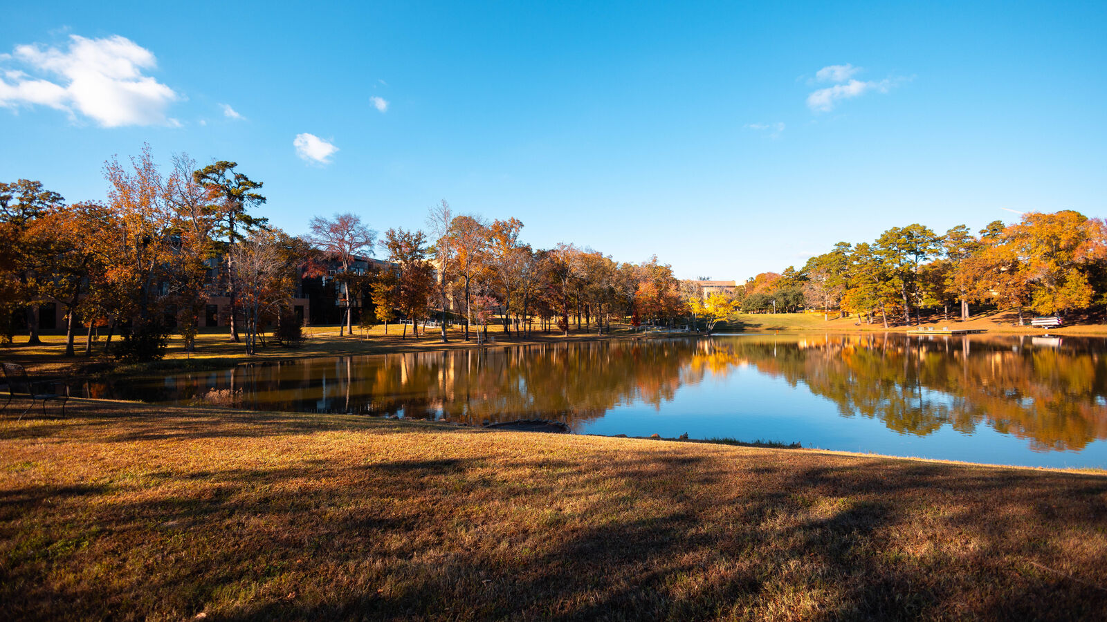 Full foliage around the lake at The University of Texas at Tyler