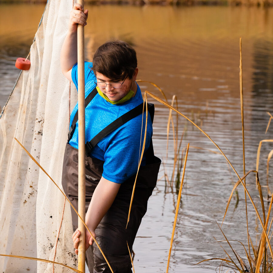 UT Tyler biology student using a net in a pond
