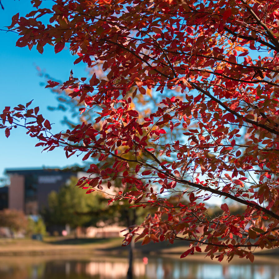 Master of Arts in Clinical Mental Health Counseling