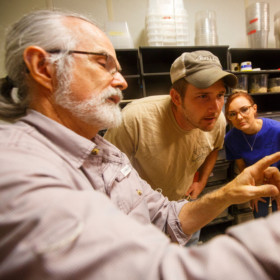 MS in Biology recommended program at UT Tyler