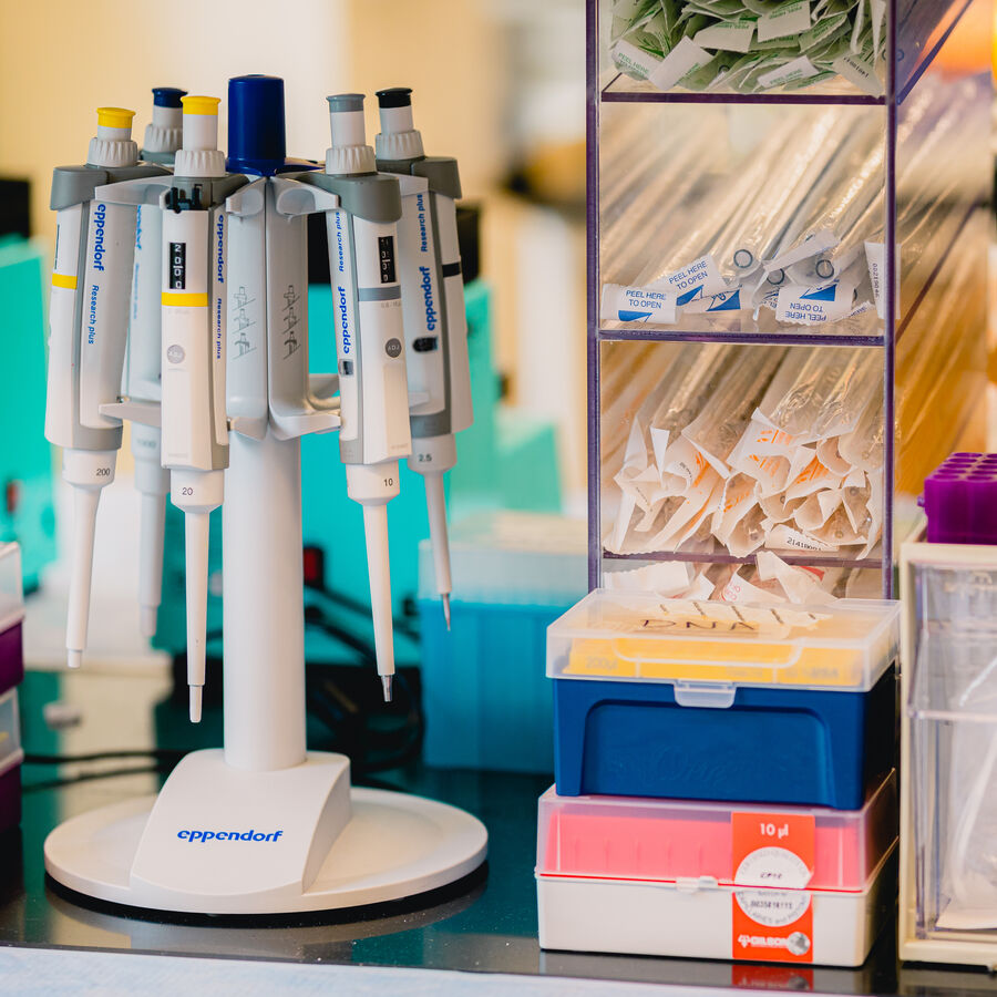 MS in Biotechnology recommended program at UT Tyler