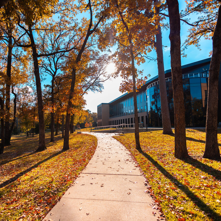 Autumn on the UT Tyler campus, near where students take Honors College classes