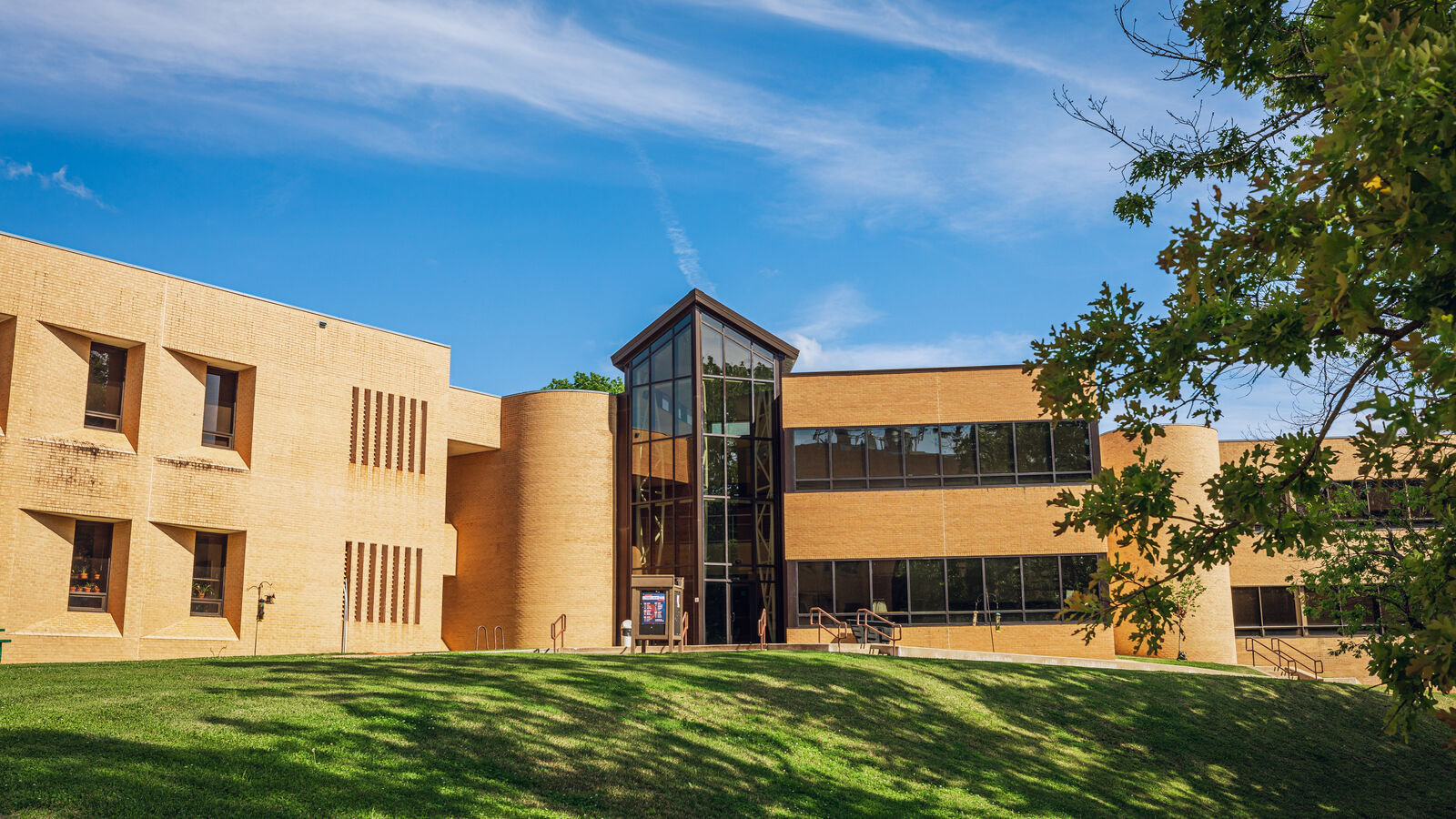 Students outdoors on the UT Tyler main campus