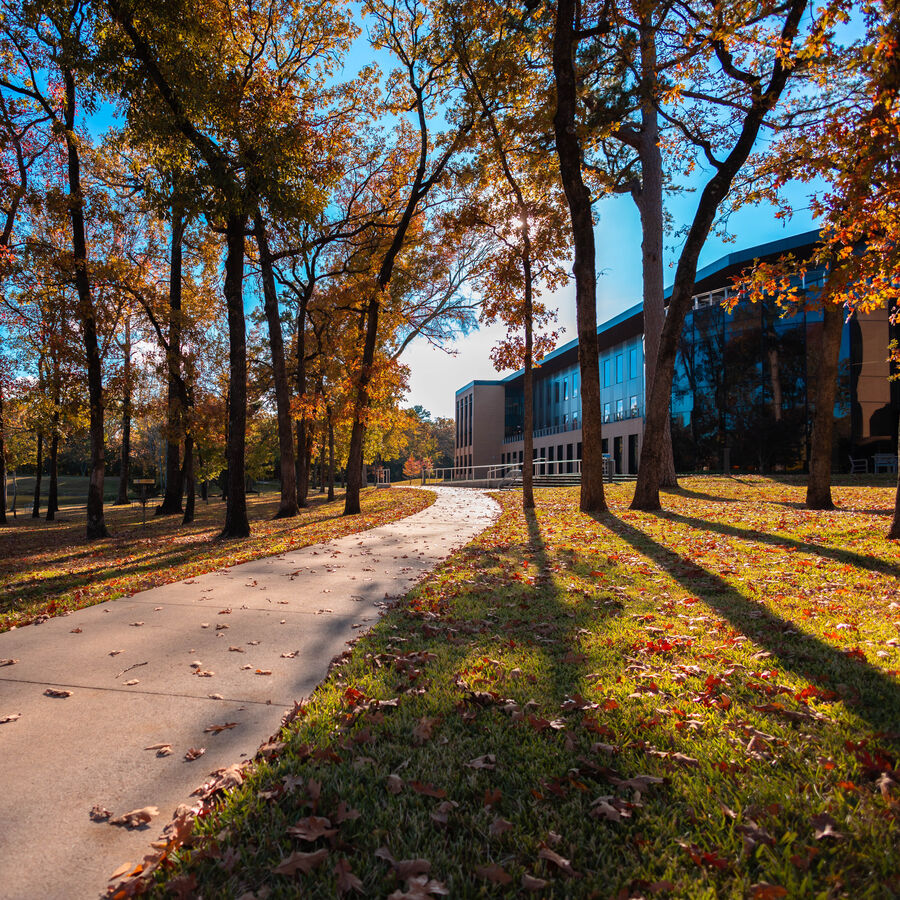 Leaves fall from the trees and onto the ground around a path going through The University of Texas at Tyler's campus