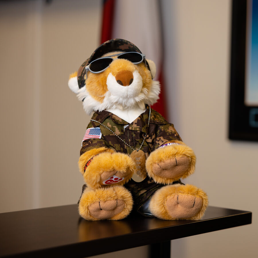 A stuffed animal wearing camouflage sitting on a desk 