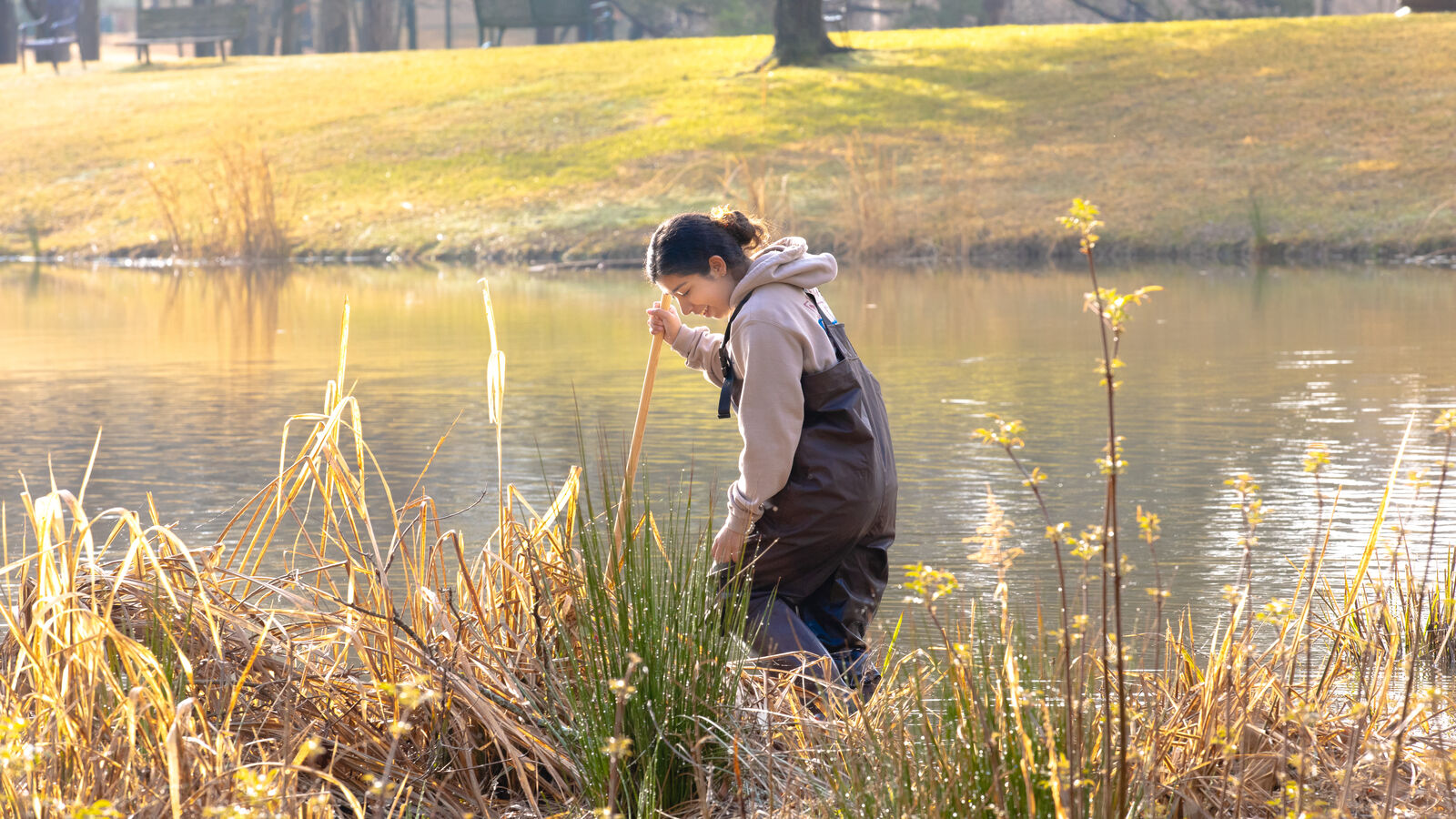 BS in biology students study wildlife in the biology pond on UT Tyler's campus