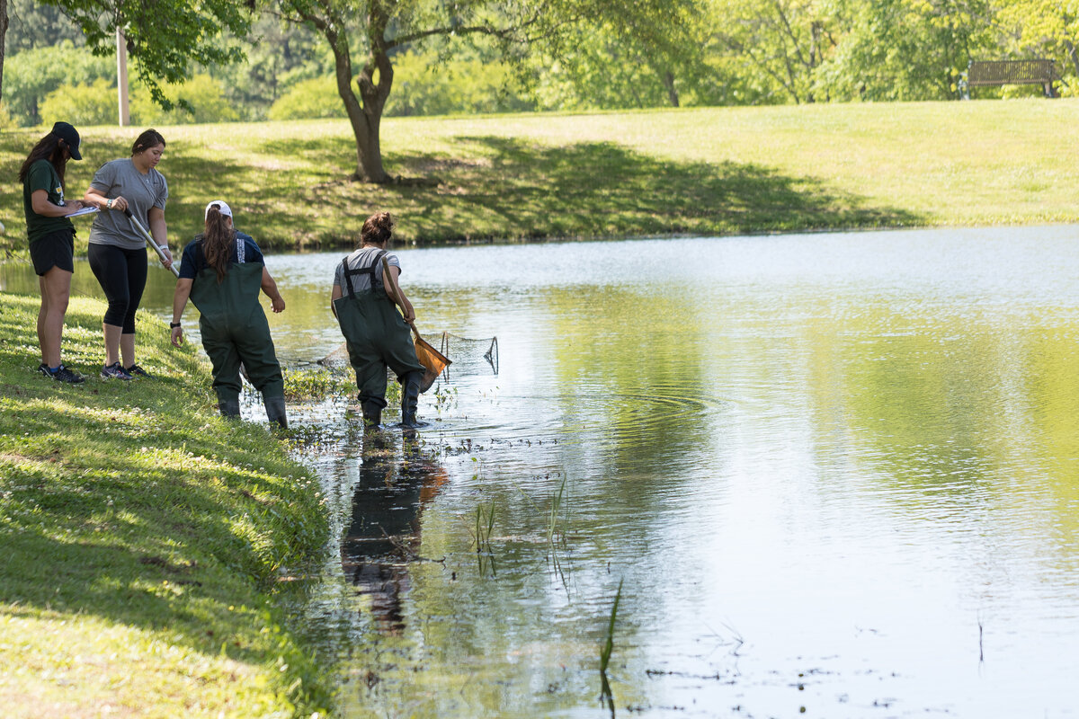 Students in Biology lab stepping into the Harvey lake to collect samples