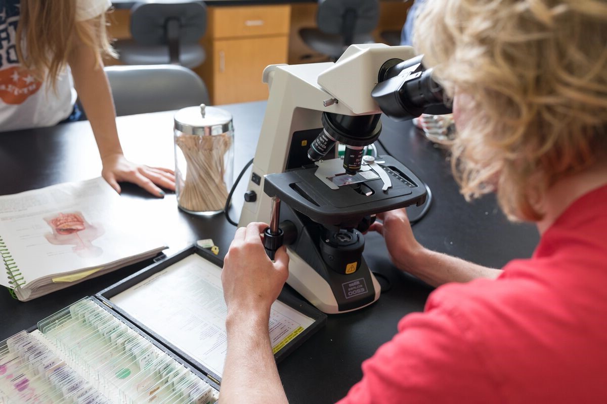Using a microscope