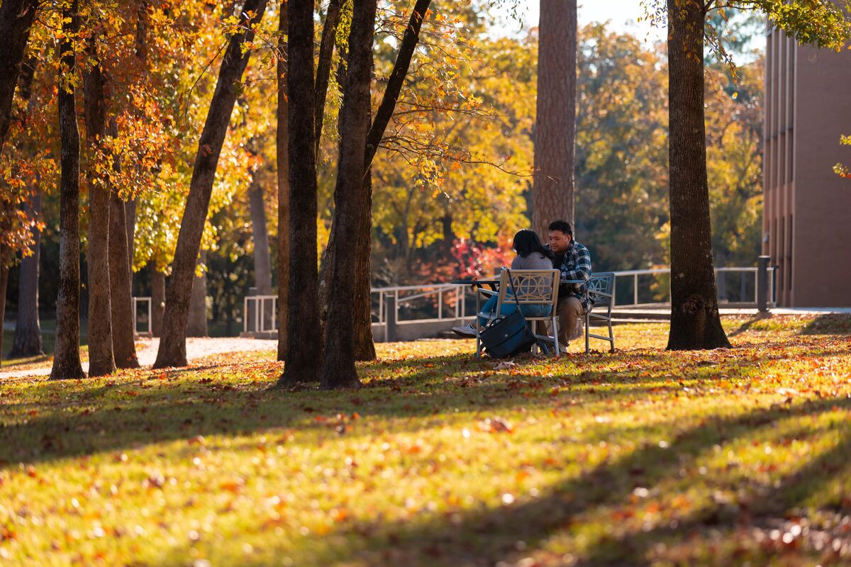 Two students studying at an outside table