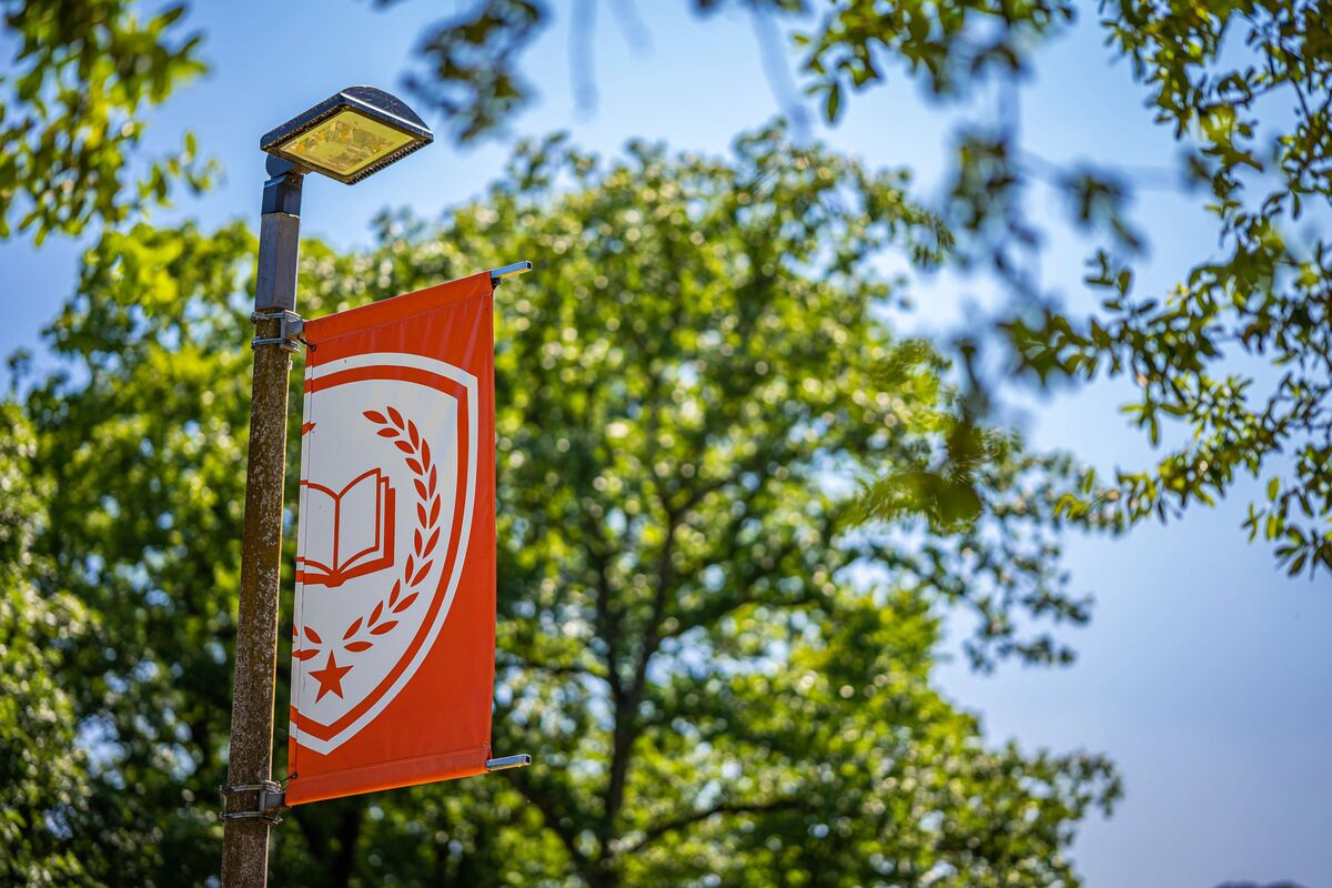 A UT Tyler flag on a post