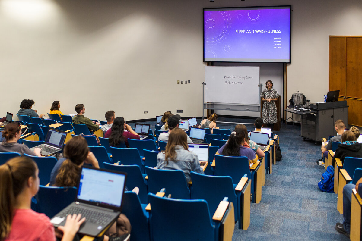 Students within a lecture