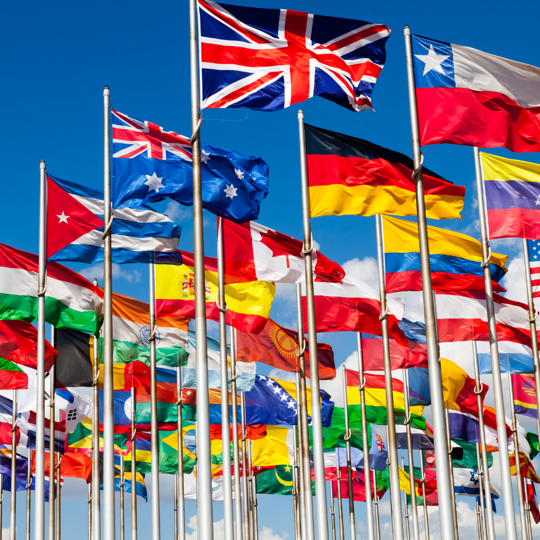 International Visitors