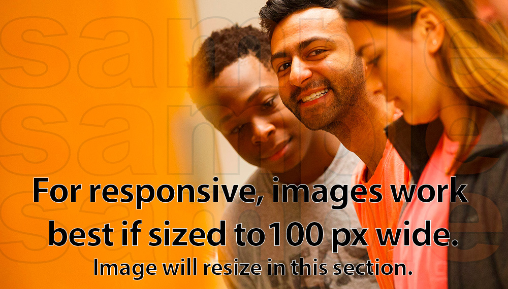 Description of Image Goes Here