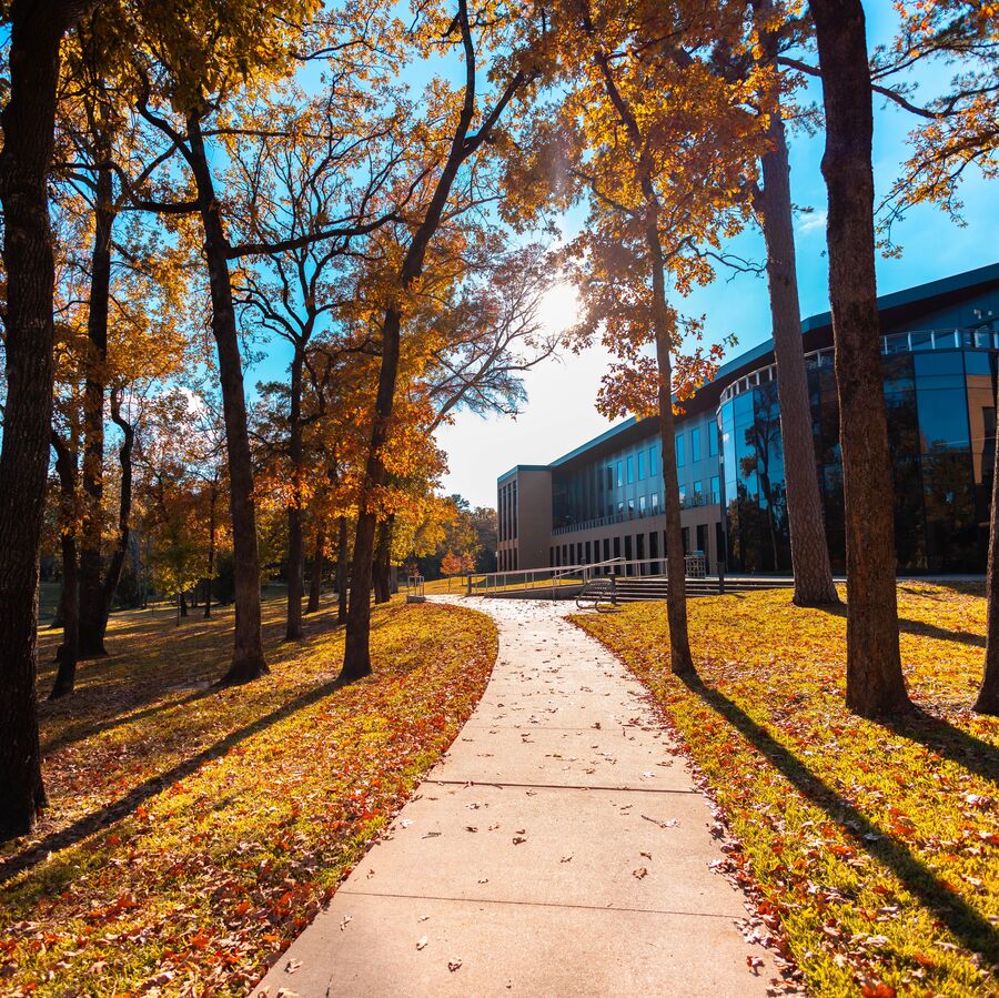 Fall foliage surrounding a path on The University of Texas at Tyler's main campus