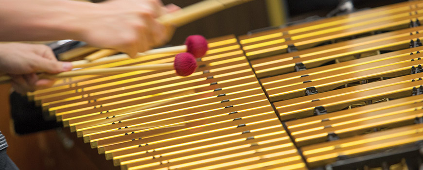 Hands playing the vibraphone