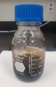 Liquified Kelp