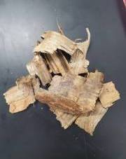 Beetle-killed Tree Piece
