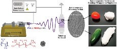 Nanofibers for food packaging