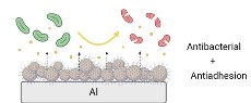 Multifunctional Surfaces