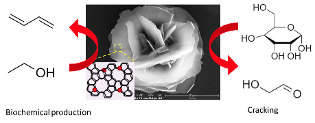 Zeolite Catalysts