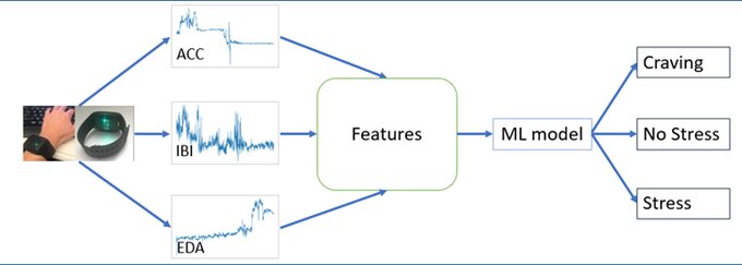 Wearable sensor framework