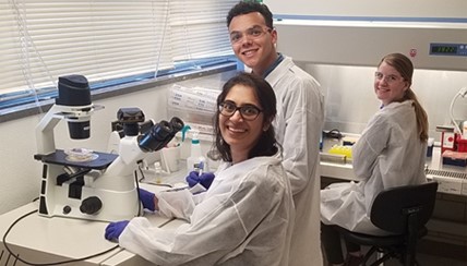honda lab 2018