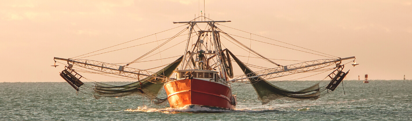 Commercial Fishing