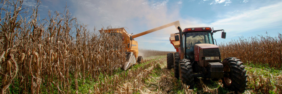 Tractor mowing harvest