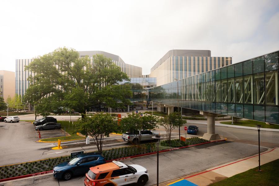 School of Medicine Building
