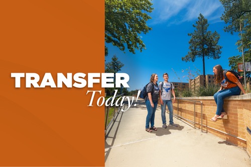 Transfer Today!