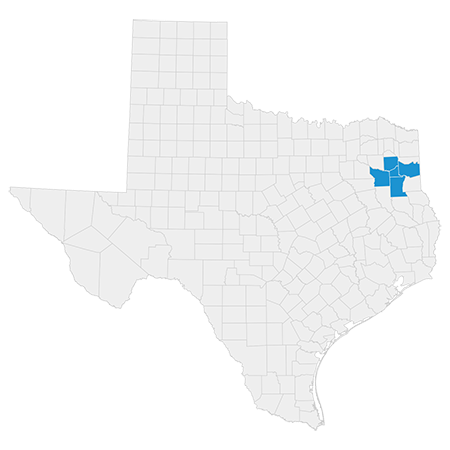 Map of Texas showing Longview area counties.