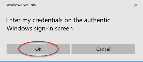 Enter credentials on authentic Windows sing-in screen