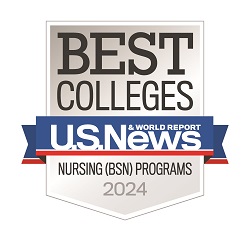 Nursing Programs Badge