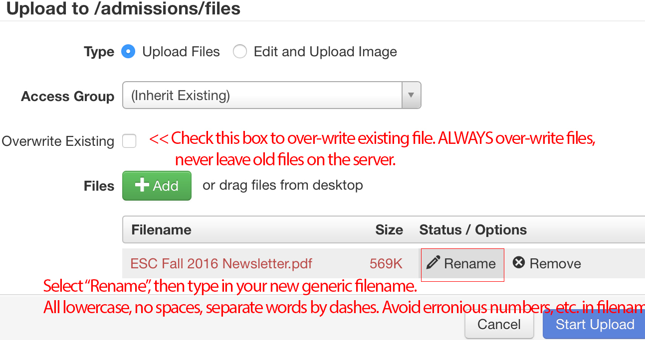 upload into this folder