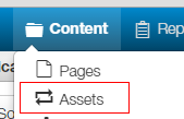 selet assets