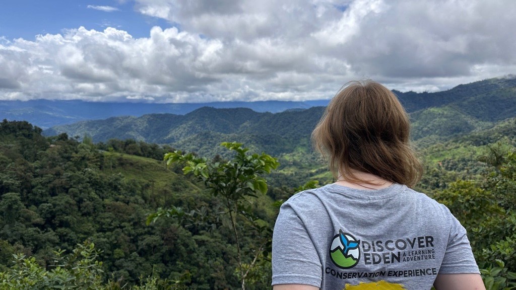 Cloud Forest in Ecuador